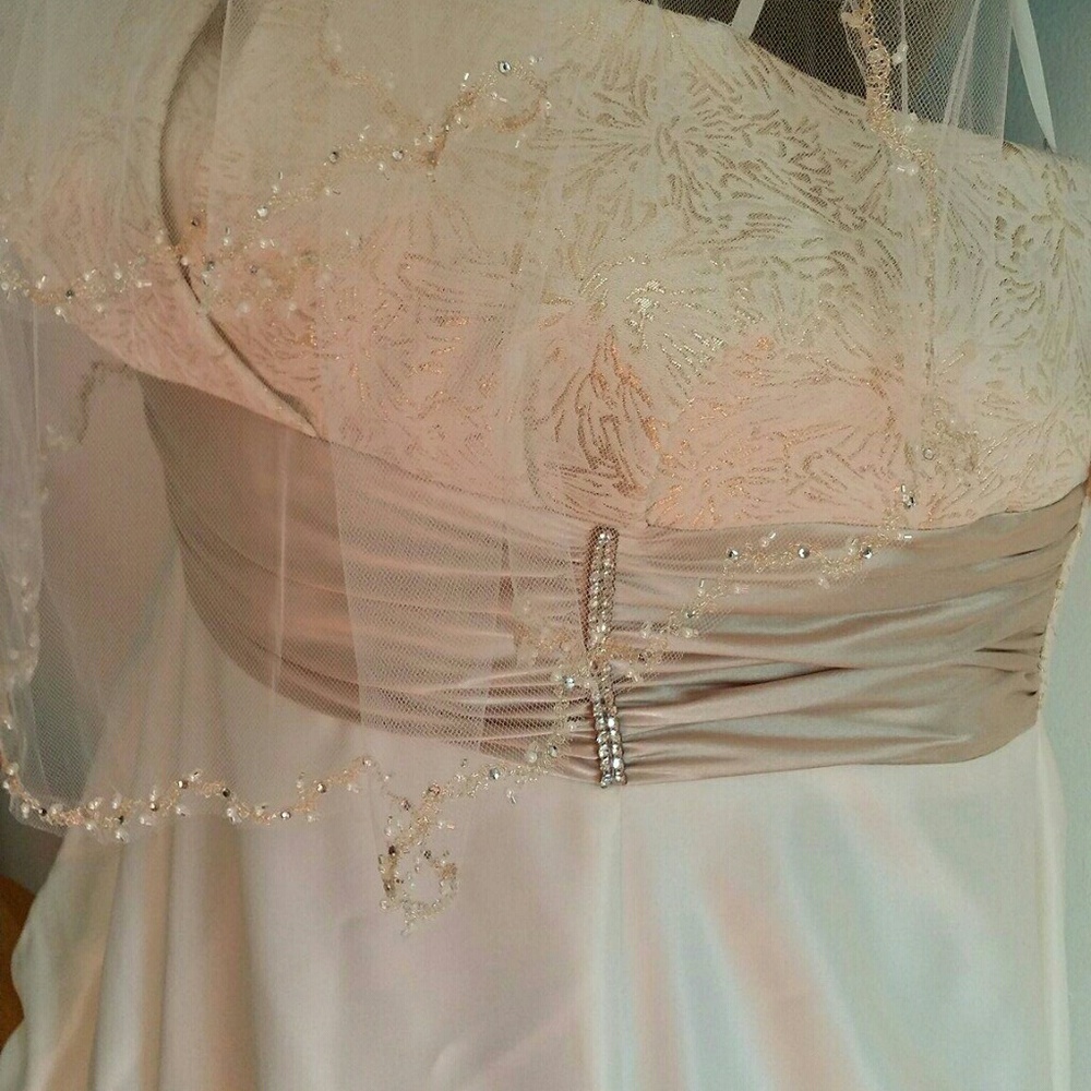 David's Bridal strapless Wedding dress